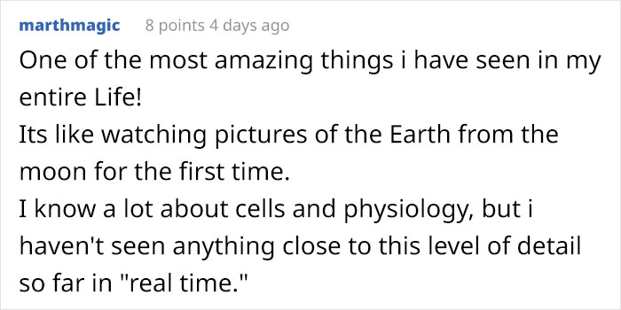 People Are Captivated By This Timelapse Of A Single Cell Becoming An Organism People Are Captivated By This Timelapse Of A Single Cell Becoming An Organism