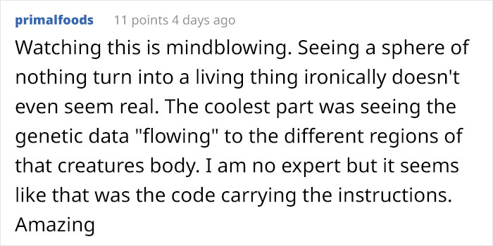 People Are Captivated By This Timelapse Of A Single Cell Becoming An Organism