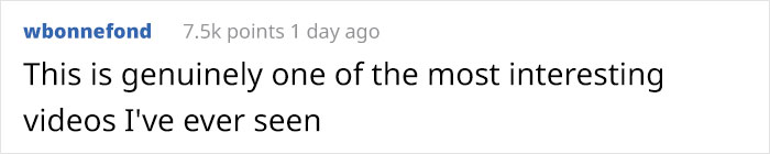 People Are Captivated By This Timelapse Of A Single Cell Becoming An Organism