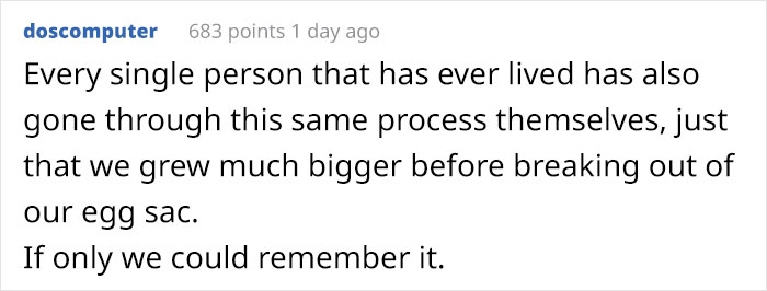 People Are Captivated By This Timelapse Of A Single Cell Becoming An Organism