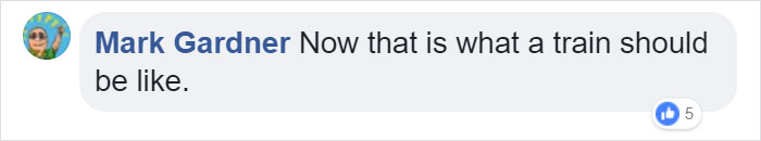 Japanese Sleeper Trains Look Ordinary From Outside But Their Interiors Are A Peaceful Oasis