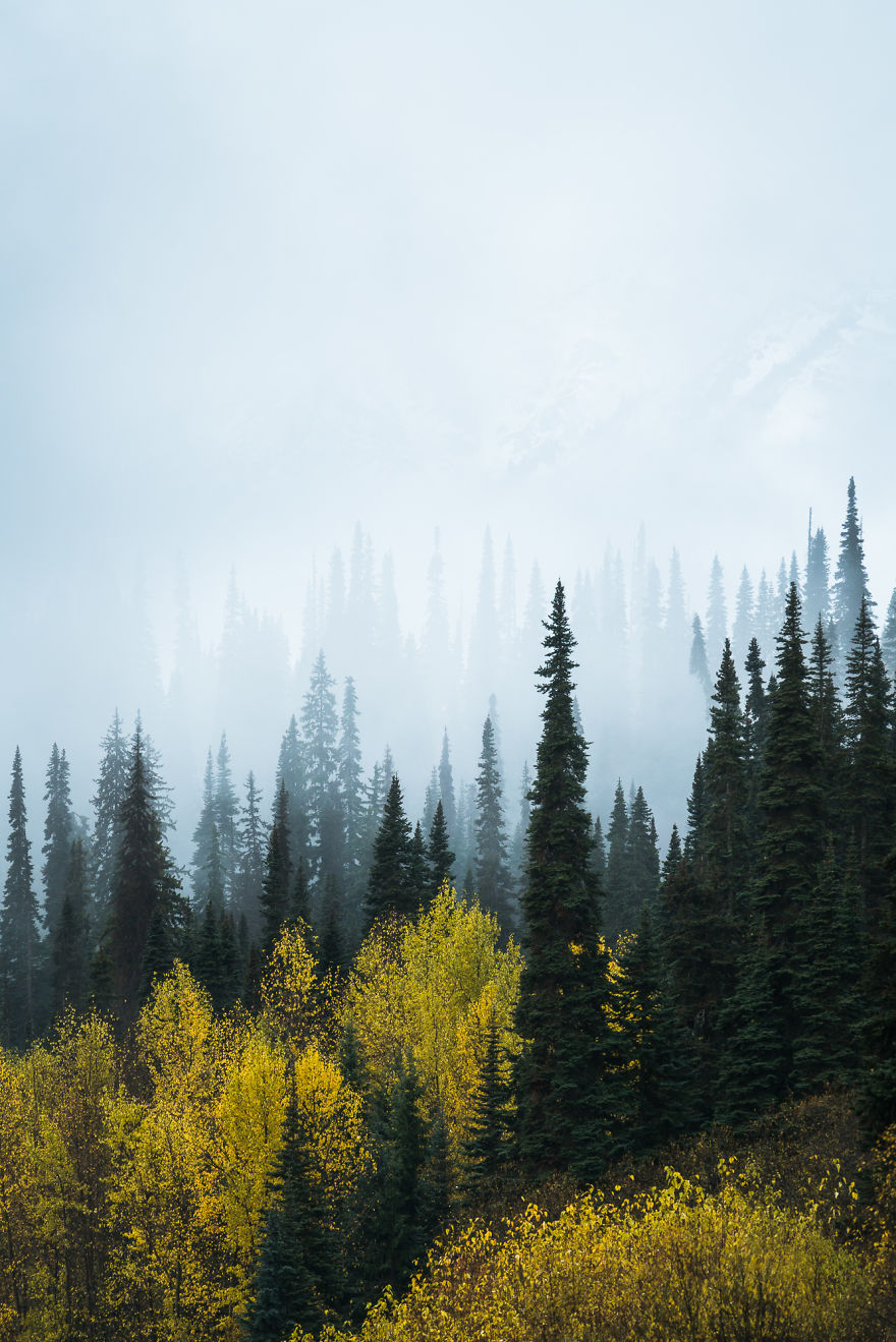Lingering Fall Color In Bc