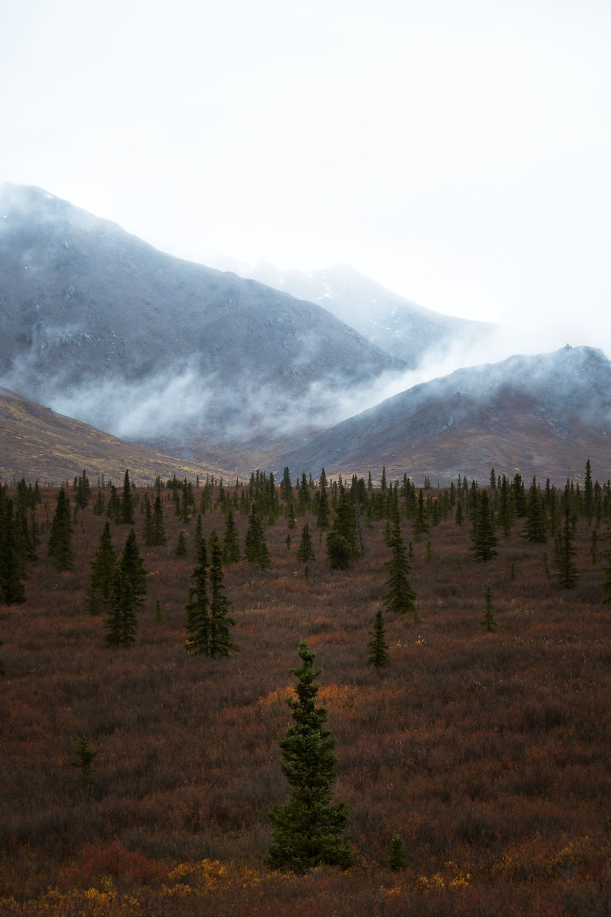 Denali National Park