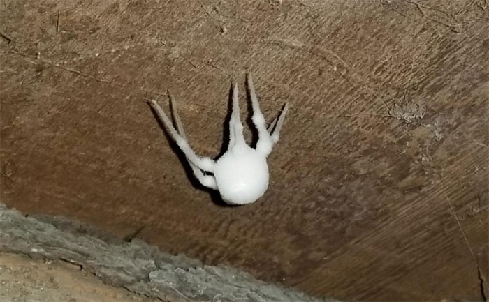 30 Cosas extrañas que sorprendieron a la gente, pero internet enseguida supo lo que eran (Nuevas imágenes)