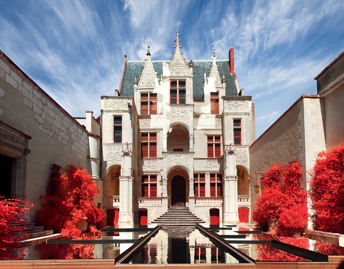 I Made A Lens Filter To Recreate The Kodak Aerochrome Filmic Look With A Modified Digital Camera.