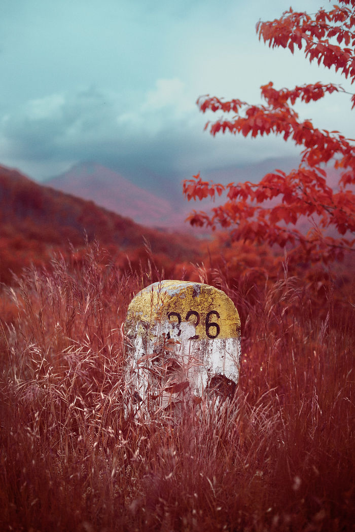 I Made A Lens Filter To Recreate The Kodak Aerochrome Filmic Look With A Modified Digital Camera.