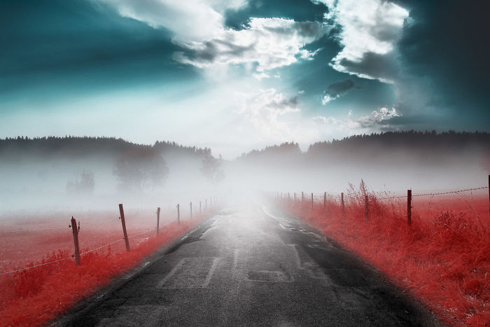 I Made A Lens Filter To Recreate The Kodak Aerochrome Filmic Look With A Modified Digital Camera.