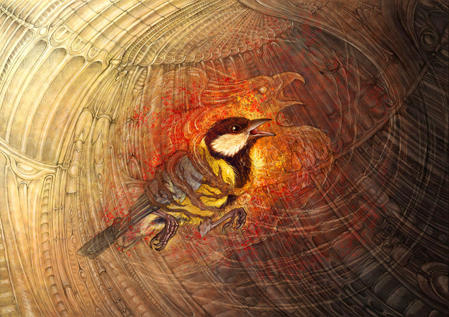 The Story Of The Titmouse That Flew With Eagles