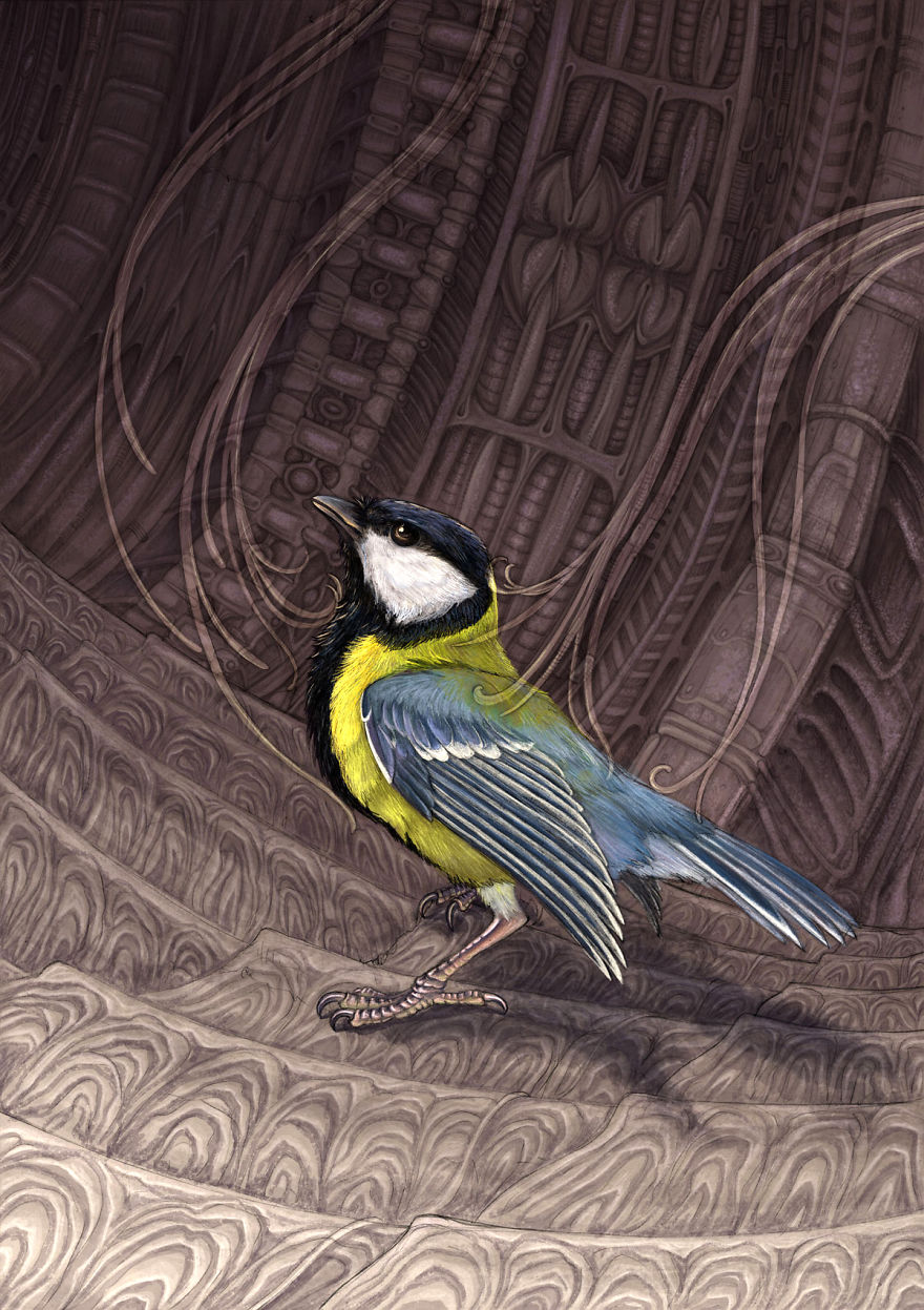 The Story Of The Titmouse That Flew With Eagles