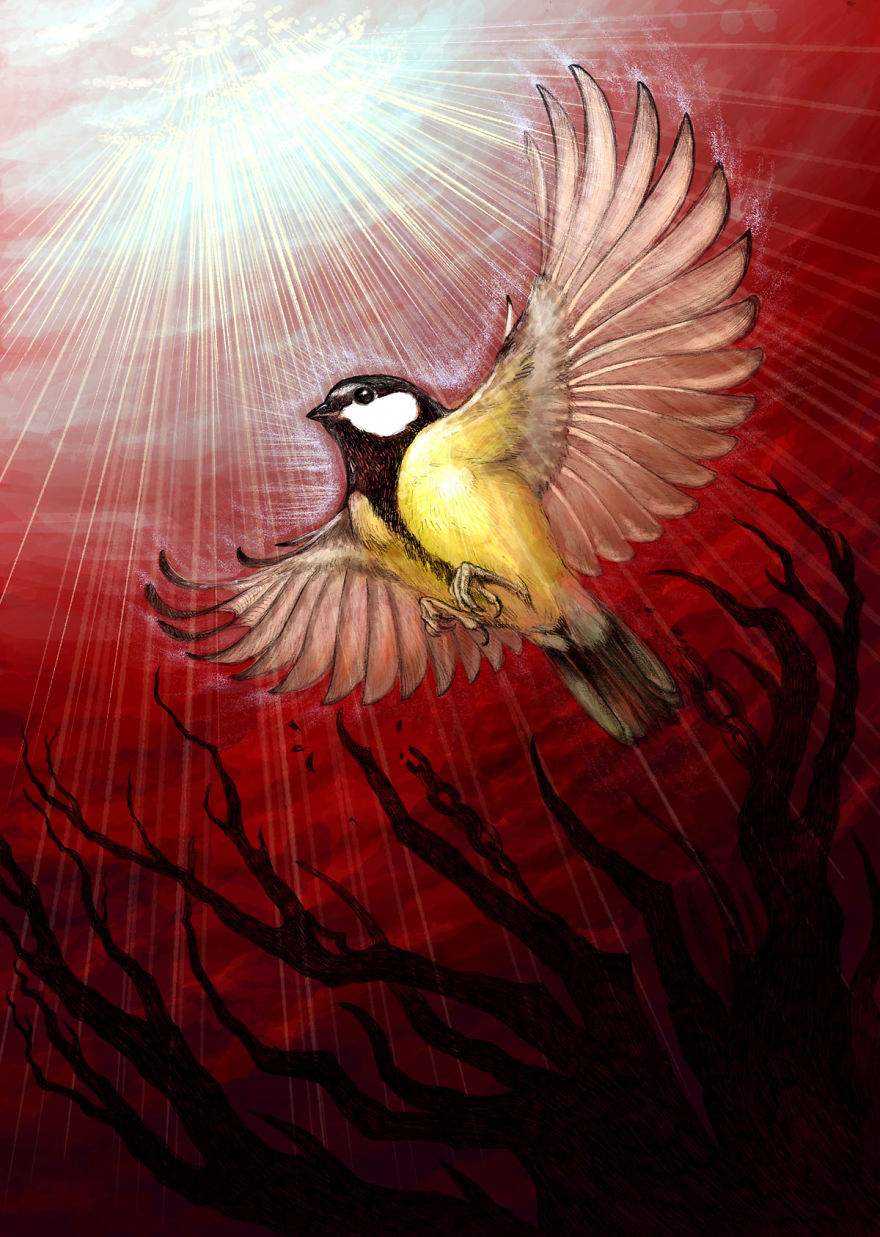 The Story Of The Titmouse That Flew With Eagles