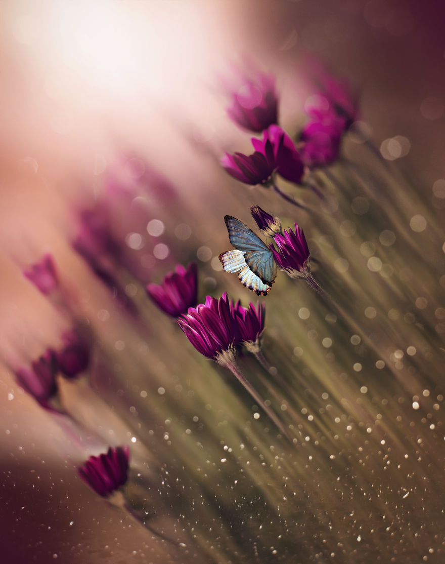 Welcome To My Little Magical World