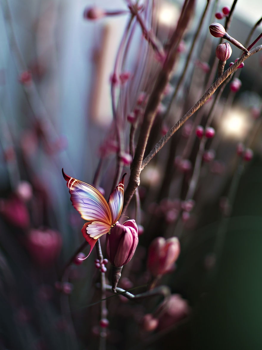 Welcome To My Little Magical World