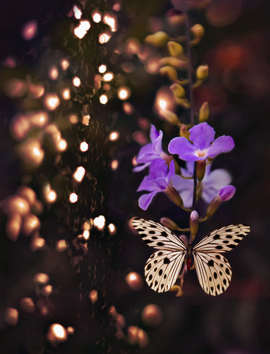 Welcome To My Little Magical World