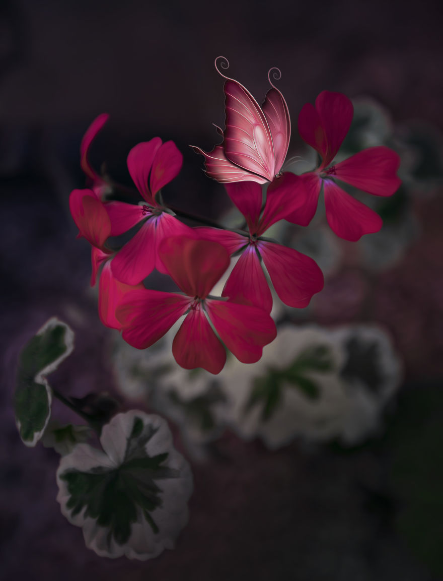 Welcome To My Little Magical World