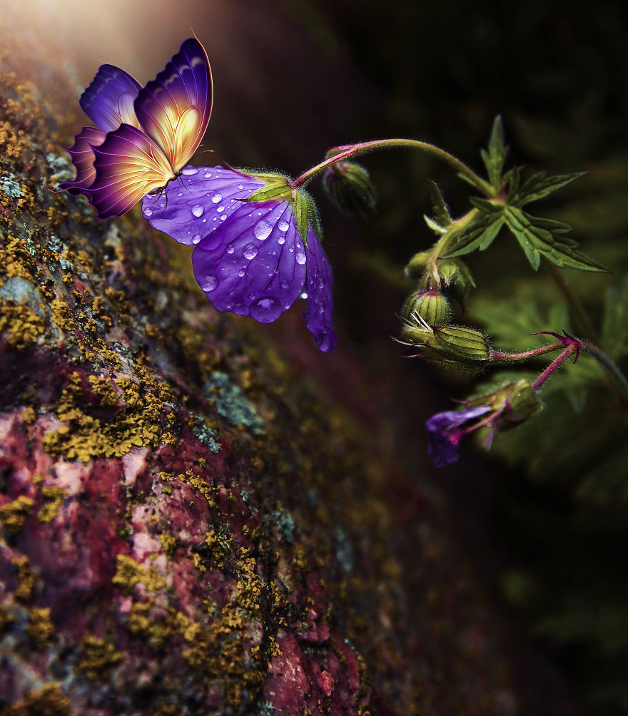 Welcome To My Little Magical World