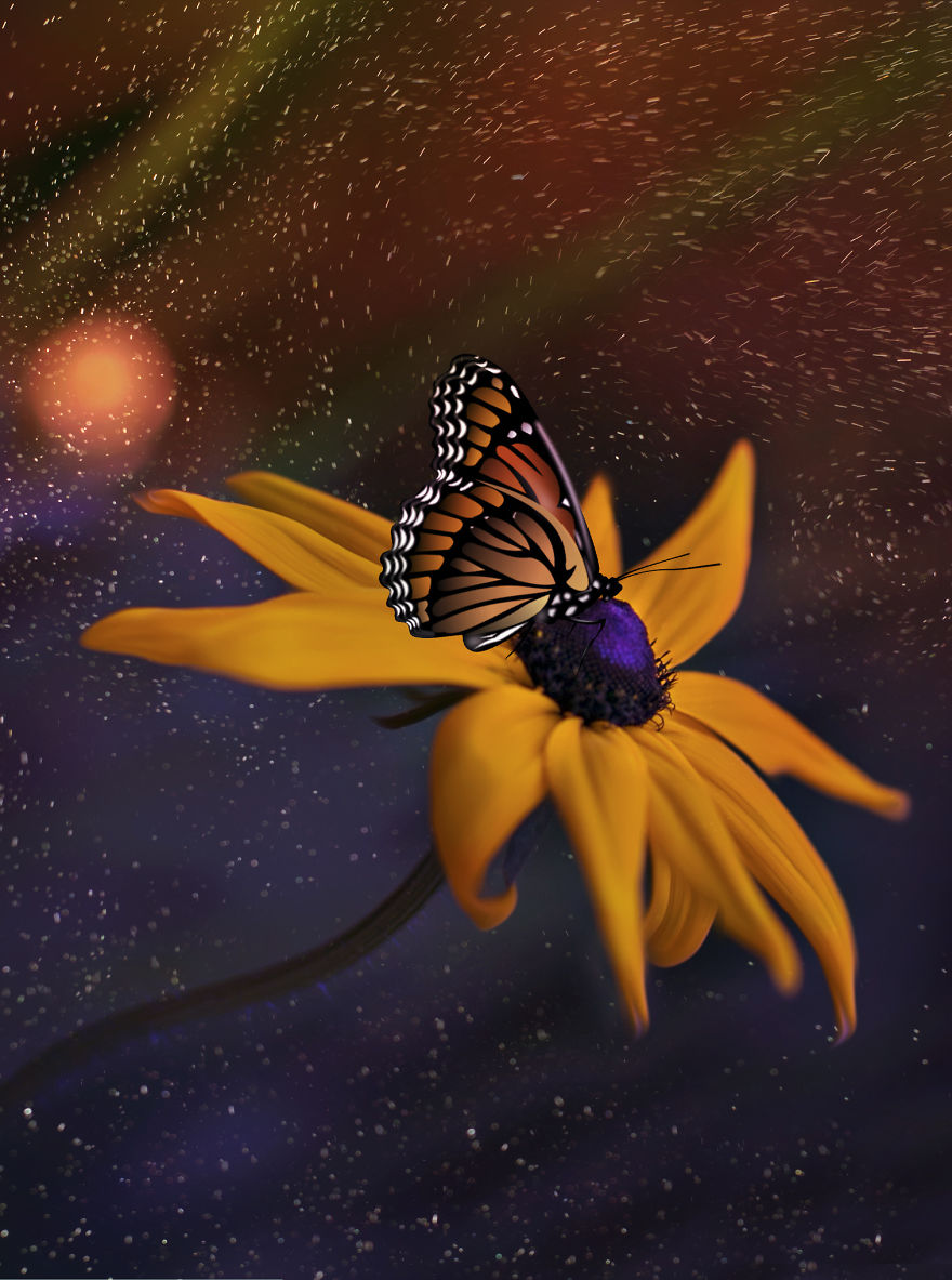 Welcome To My Little Magical World