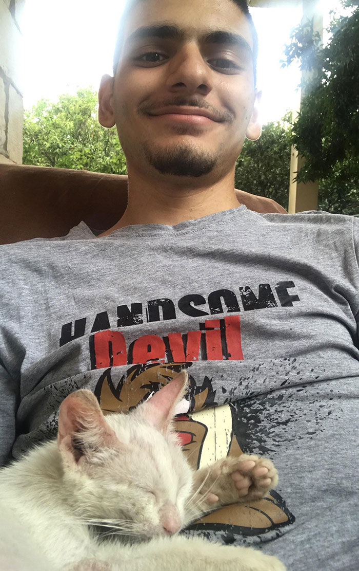 Guy Wakes Up From A Nap To A Stray Kitten Sleeping On His Stomach, Decides To Keep It Guy Wakes Up From A Nap To A Stray Kitten Sleeping On His Stomach, Decides To Keep It