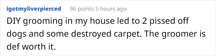 Groomer Gets Tired Of People Asking Why Their Services Cost More Than A Hairdresser, Puts Hilarious Poster For Customers Groomer Gets Tired Of People Asking Why Their Services Cost More Than A Hairdresser, Puts Hilarious Poster For Customers
