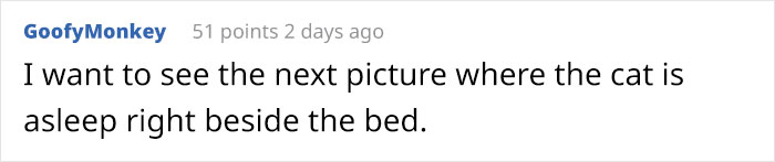 Wife Is Dying From Laughter After Finding Out The Bed Her Husband Was Building Is For The Cat, Not For Them Wife Is Dying From Laughter After Finding Out The Bed Her Husband Was Building Is For The Cat, Not For Them