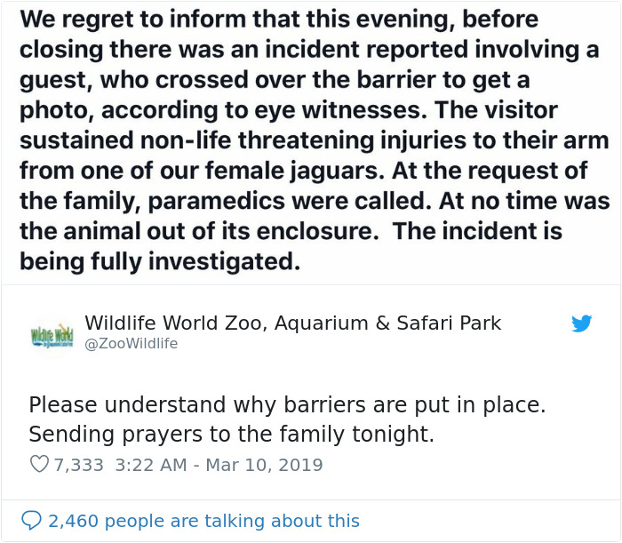 Zoo Confirms That The Jaguar Who Attacked A Woman Trying To Take A Selfie With Her Won't Be Put Down Zoo Confirms That The Jaguar Who Attacked A Woman Trying To Take A Selfie With Her Won't Be Put Down