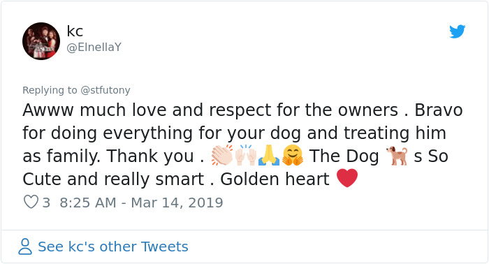 This Dog Couldn't Eat Without Standing Upright, So Her Family Built A Special Chair This Dog Couldn't Eat Without Standing Upright, So Her Family Built A Special Chair