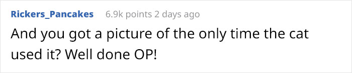 Wife Is Dying From Laughter After Finding Out The Bed Her Husband Was Building Is For The Cat, Not For Them