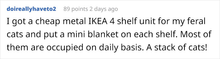 Wife Is Dying From Laughter After Finding Out The Bed Her Husband Was Building Is For The Cat, Not For Them