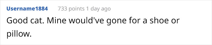 Cat Splits Open A Litter Bag To Poop After He Finds Door To His Litter Box Shut, People React With Hilarious Comments Cat Splits Open A Litter Bag To Poop After He Finds Door To His Litter Box Shut, People React With Hilarious Comments