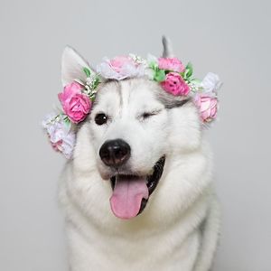 chrisangela94 avatar