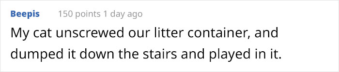 Cat Splits Open A Litter Bag To Poop After He Finds Door To His Litter Box Shut, People React With Hilarious Comments