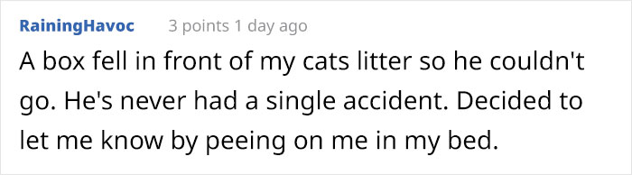 Cat Splits Open A Litter Bag To Poop After He Finds Door To His Litter Box Shut, People React With Hilarious Comments Cat Splits Open A Litter Bag To Poop After He Finds Door To His Litter Box Shut, People React With Hilarious Comments