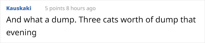 Cat Splits Open A Litter Bag To Poop After He Finds Door To His Litter Box Shut, People React With Hilarious Comments