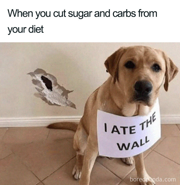 Dog with a sign "I ate the wall" humorously depicting diet struggles, next to a hole in the wall.