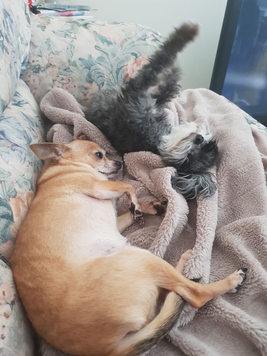 Sleepy Time Or Play Time?