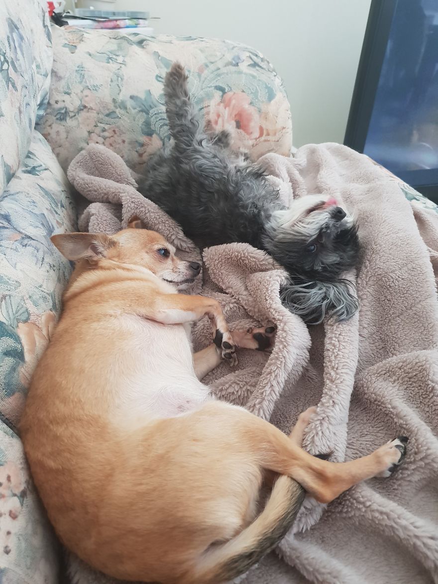 Sleepy Time Or Play Time?