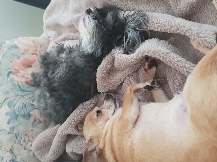 Sleepy Time Or Play Time?