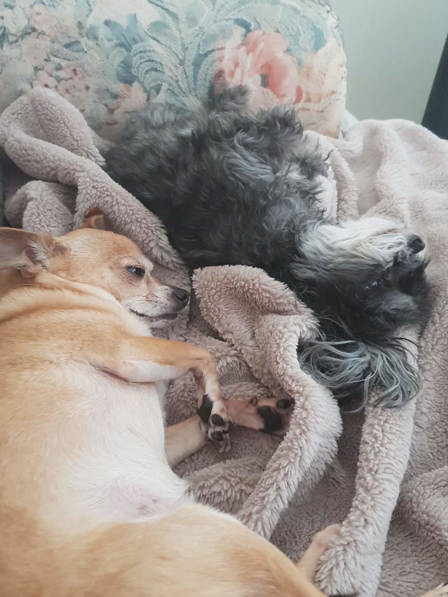 Sleepy Time Or Play Time?