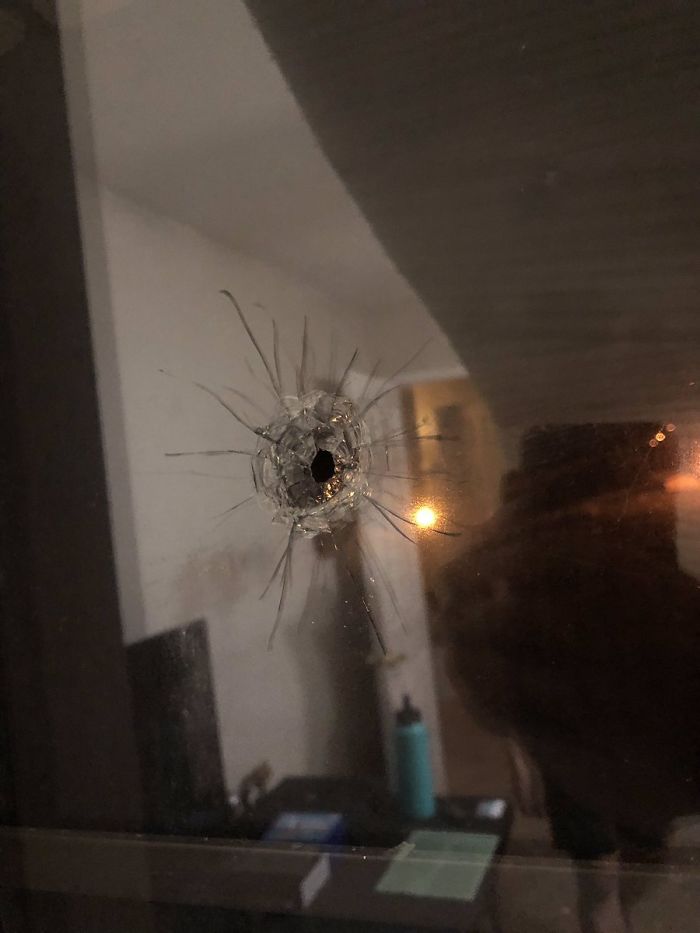 Gaming Monitor Stops One Of 5 Bullets Shot At This Guy’s House, MSI Offers To Replace It Gaming Monitor Stops One Of 5 Bullets Shot At This Guy’s House, MSI Offers To Replace It