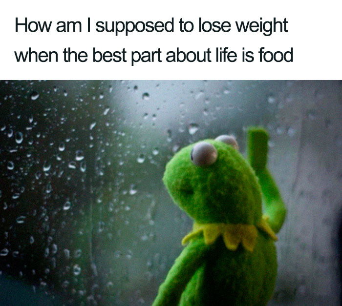 Kermit the Frog looking out a window with rain, contemplating weight loss and enjoying food.