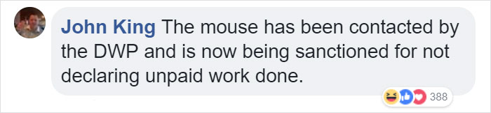 "I Thought I Was Going Mad:" Pensioner Catches A Mouse That Kept Cleaning His Shed On A Trail Cam "I Thought I Was Going Mad:" Pensioner Catches A Mouse That Kept Cleaning His Shed On A Trail Cam