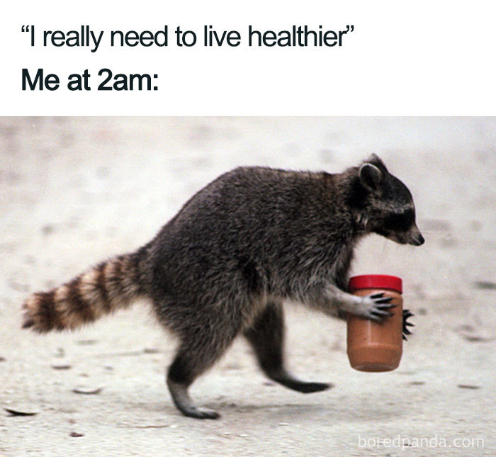Raccoon holding a jar of peanut butter, depicting a humorous take on weight loss and diet struggles.
