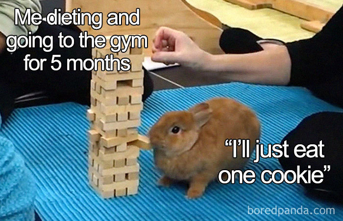 Rabbit beside a Jenga tower with text about dieting; humorous weight loss meme.