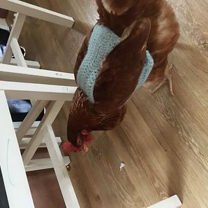 clairelouiseclousmith avatar