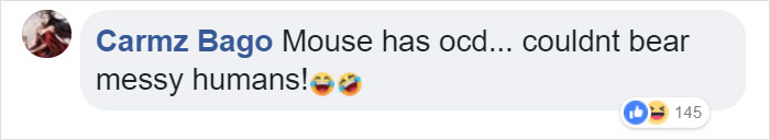 "I Thought I Was Going Mad:" Pensioner Catches A Mouse That Kept Cleaning His Shed On A Trail Cam "I Thought I Was Going Mad:" Pensioner Catches A Mouse That Kept Cleaning His Shed On A Trail Cam