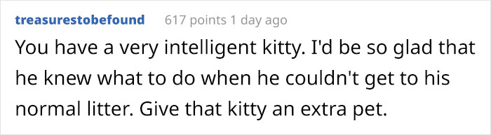 Cat Splits Open A Litter Bag To Poop After He Finds Door To His Litter Box Shut, People React With Hilarious Comments