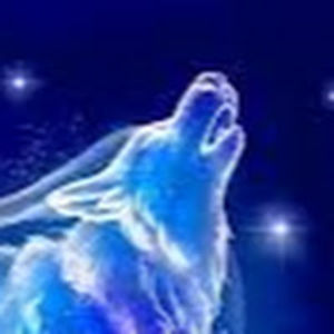 floranskhwaja avatar