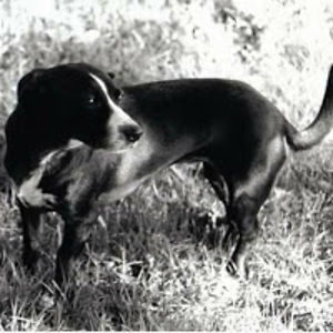 amandaloveseyeliner avatar