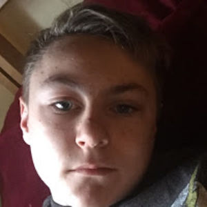 anthonypollauf avatar