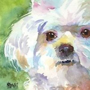 chef_t_burkhard avatar