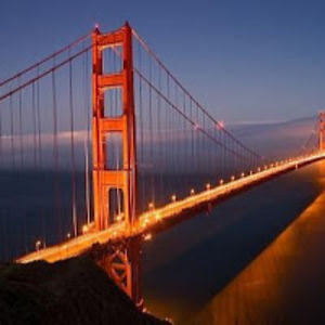 reneeradclyffe avatar